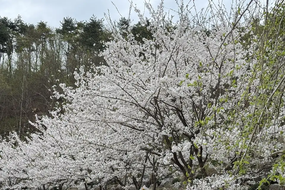 나남수목원