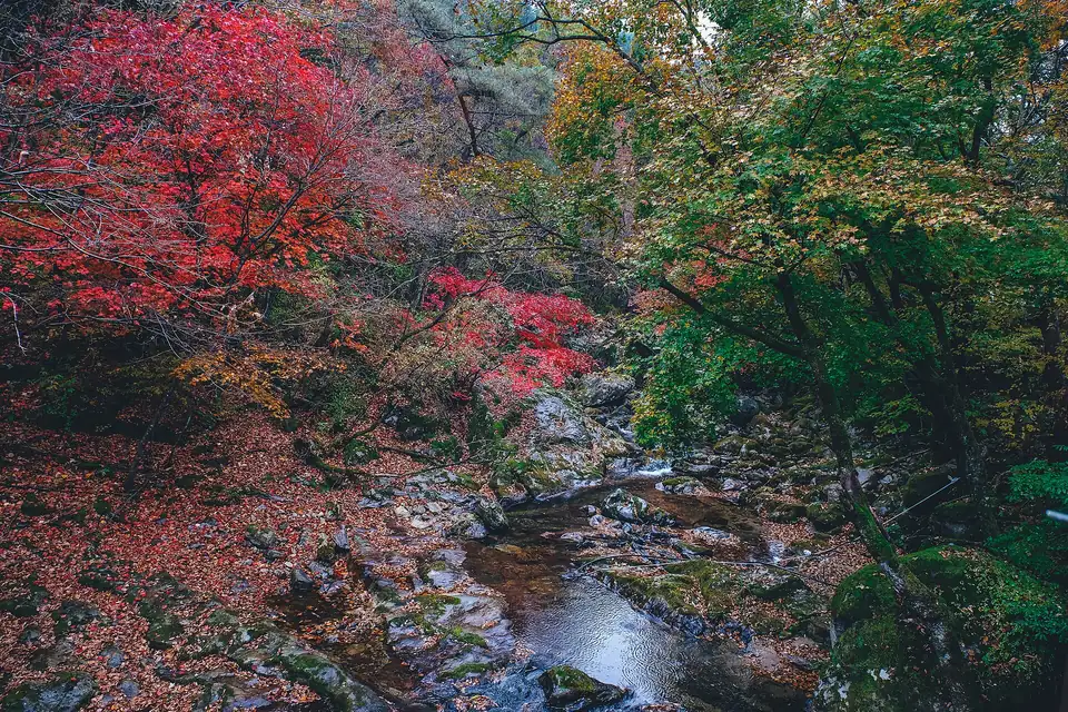광덕산(화천)